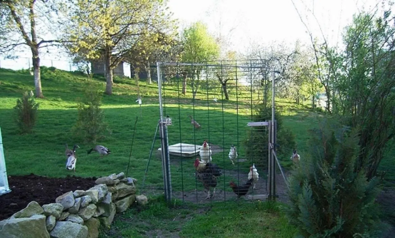 Naturfreundepension Hagenberger Fuer Erwachsene Witzmannsberg Germany